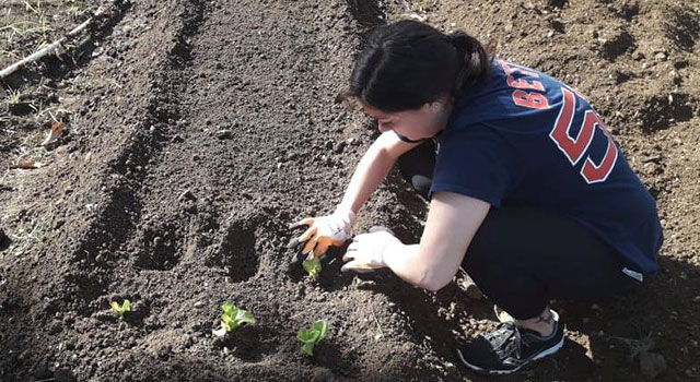 planting plants as an ecology volunteer